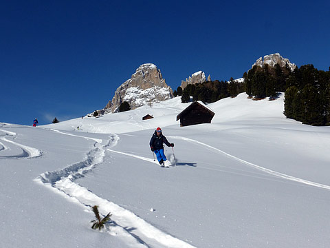 Dolomites: le Tre Cime di Lavaredo